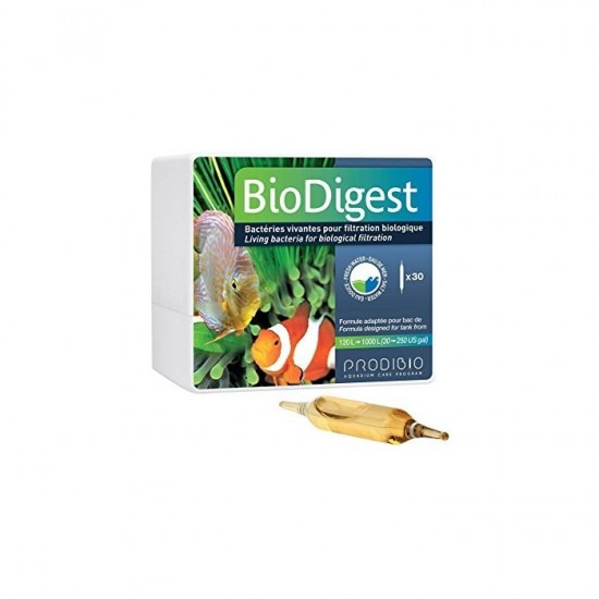 PRODİBİO BioDigest 1 Ampül - Bakteri Kültürü