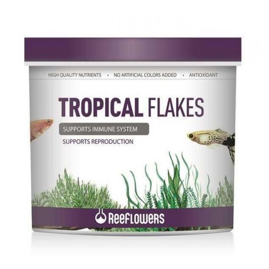 Reeflowers Tropical Flakes (AÇIK)