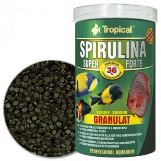 Tropical %36 Spirulina Super Forte Granulat
